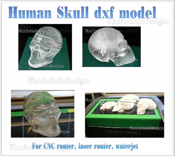 Crâne cnc 3d dans les formats de fichier dxf dwg eps pour routeur plasma découpé au laser cnc, découpe laser, coupe de bois au jet d'eau