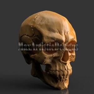 2 teschi vichinghi/antica anatomia umana morta file stl 3d per macchine stampante 3d